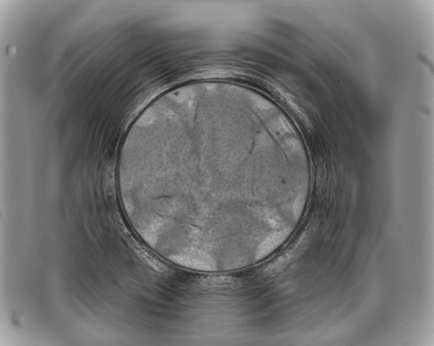 X0000097831417200804111028