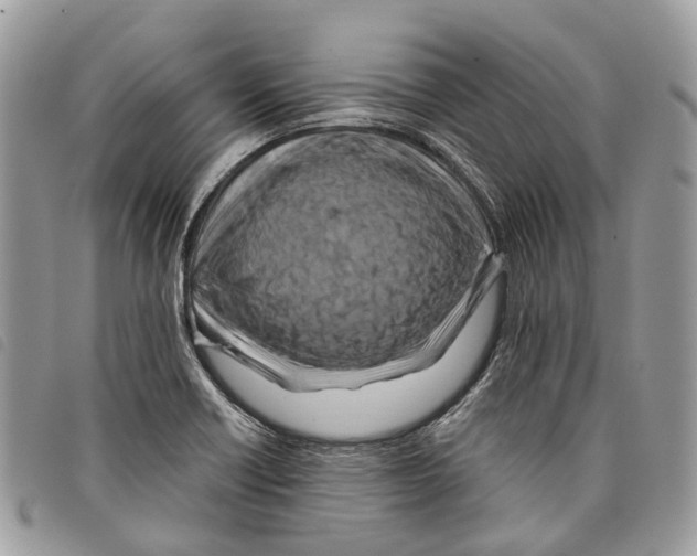 X0000097831418200804111028