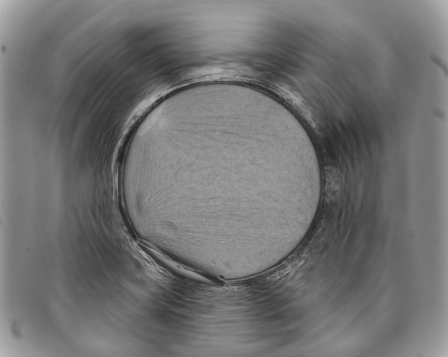 X0000097831419200804111028