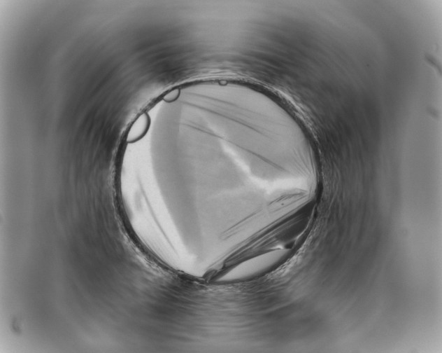 X0000097831422200804111028