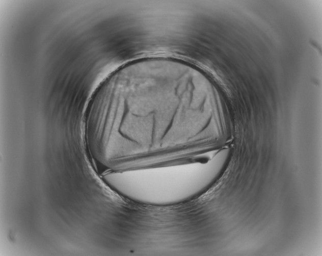 X0000097831424200804111028