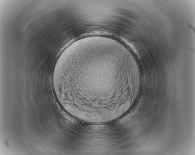 X0000097831425200804111028