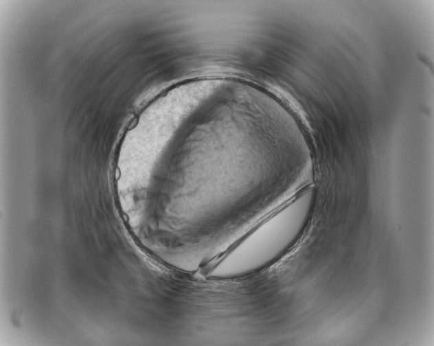 X0000097831429200804111028