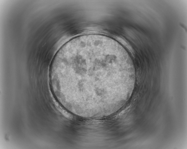 X0000097831431200804111028