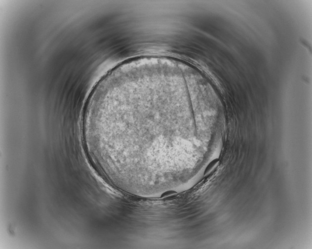 X0000097831432200804111028