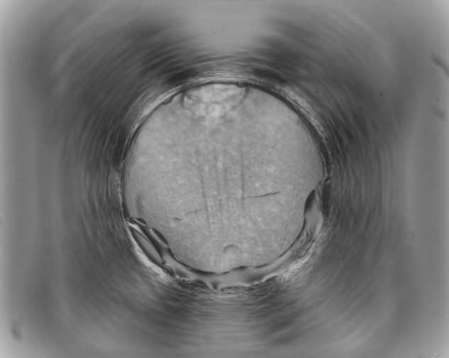 X0000097831433200804111028