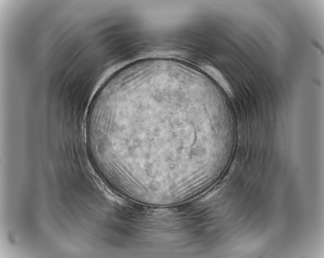 X0000097831436200804111028