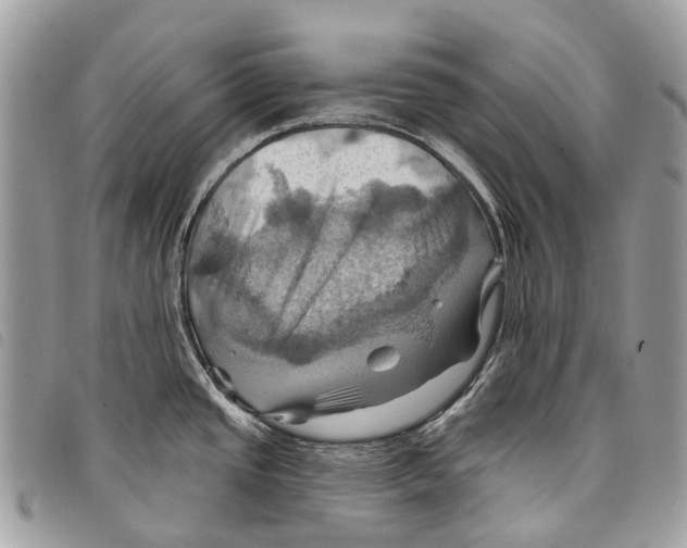 X0000097831437200804111028