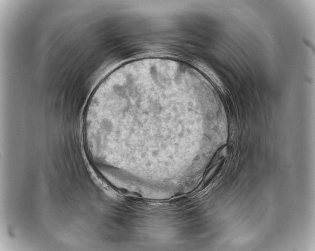 X0000097831439200804111028