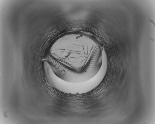 X0000097831441200804111028