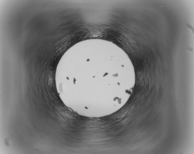 X0000097831442200804111028