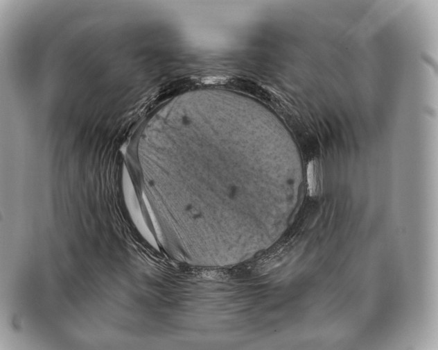 X0000097831443200804111027