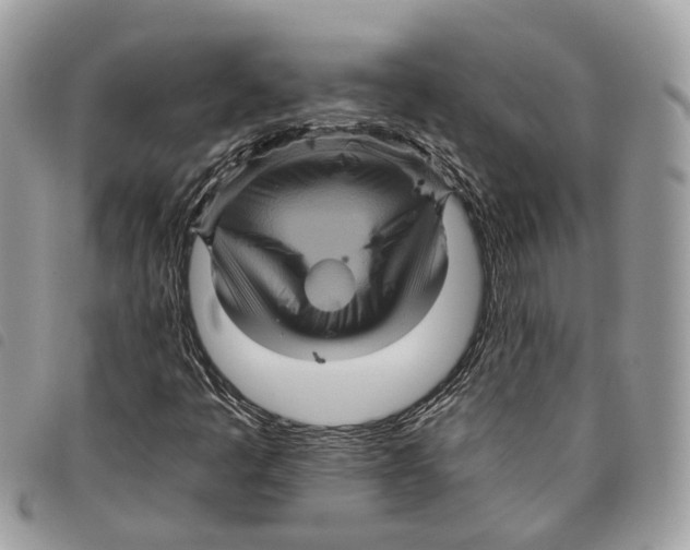 X0000097831445200804111027