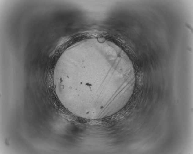 X0000097831446200804111027