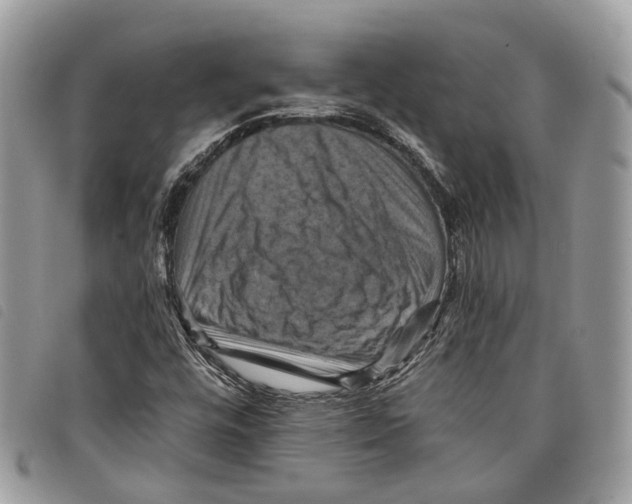 X0000097831448200804111027