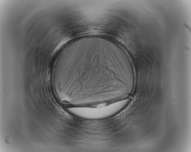 X0000097831450200804111027