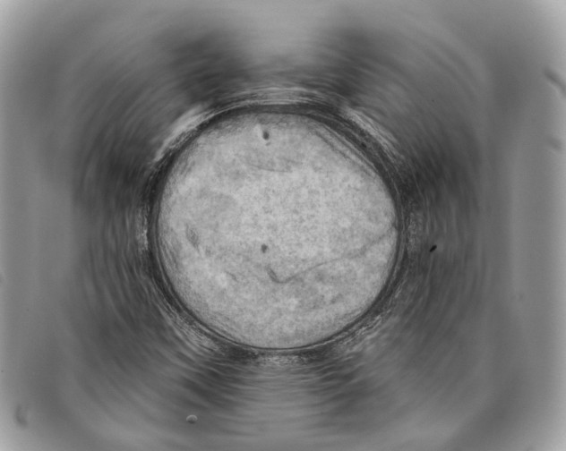 X0000097831451200804111027