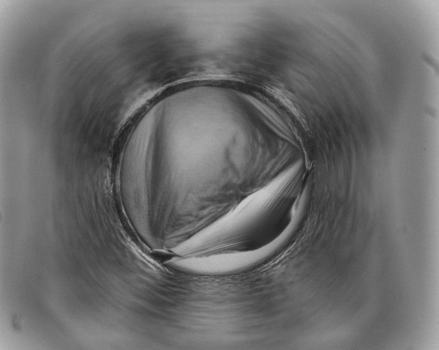 X0000097831452200804111027