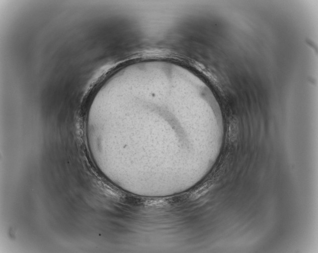 X0000097831454200804111027