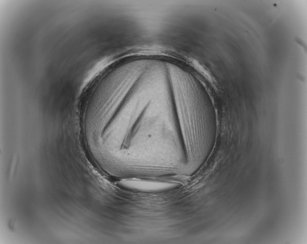 X0000097831456200804111027