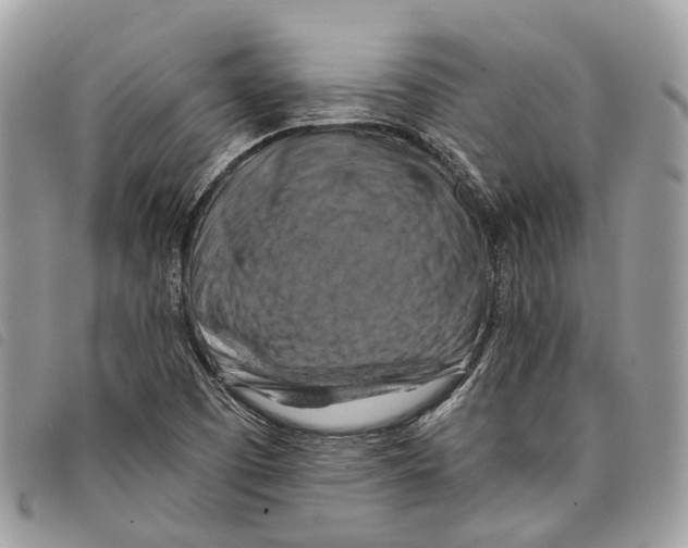 X0000097831457200804111027