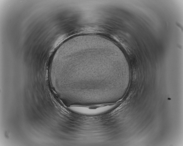 X0000097831459200804111027