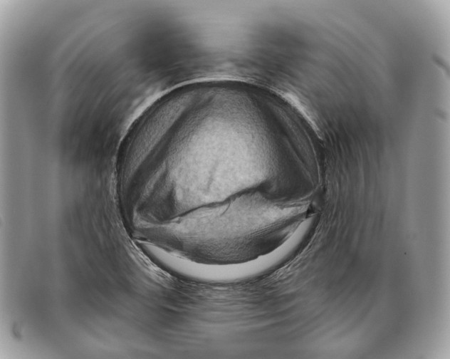 X0000097831460200804111027