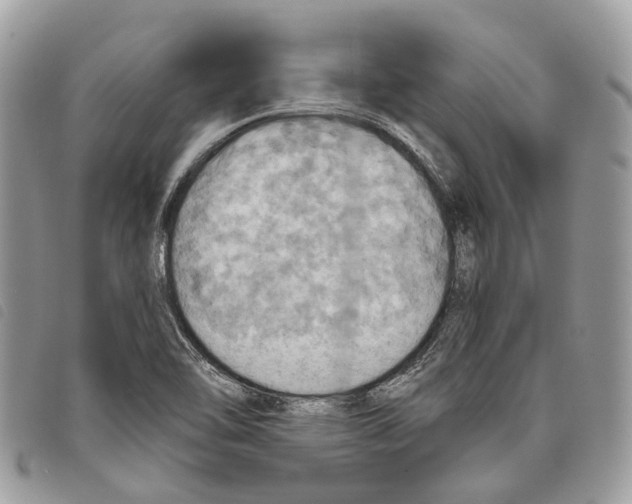 X0000097831462200804111027