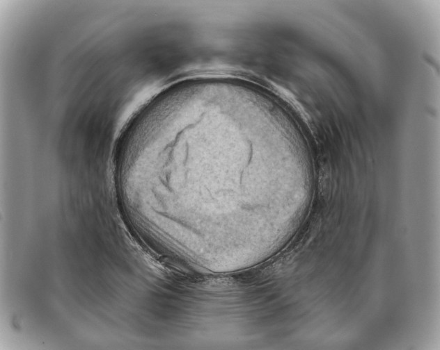 X0000097831464200804111027