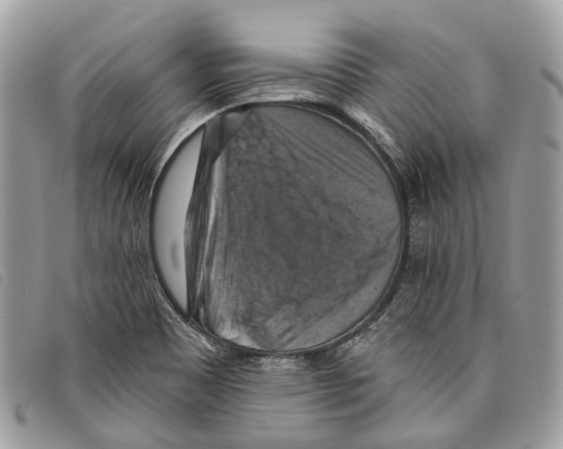 X0000097831465200804111027