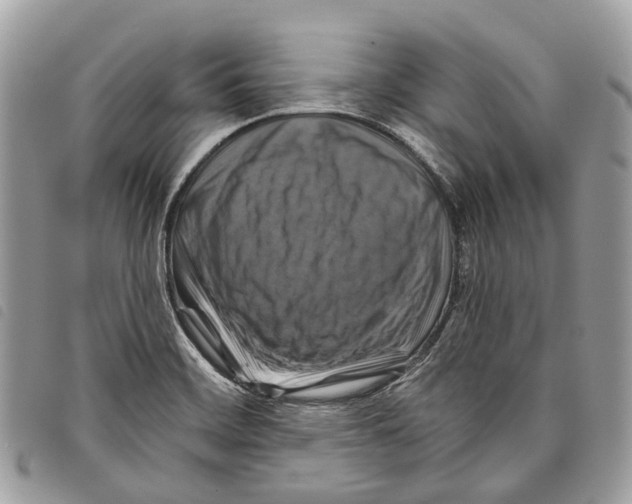 X0000097831468200804111027