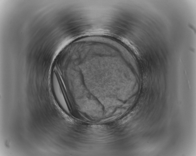 X0000097831469200804111027