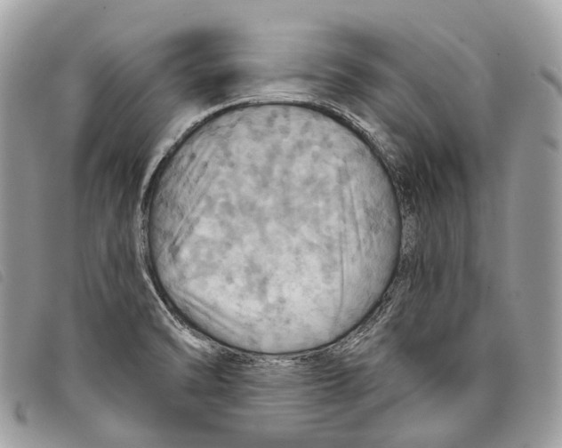 X0000097831470200804111027