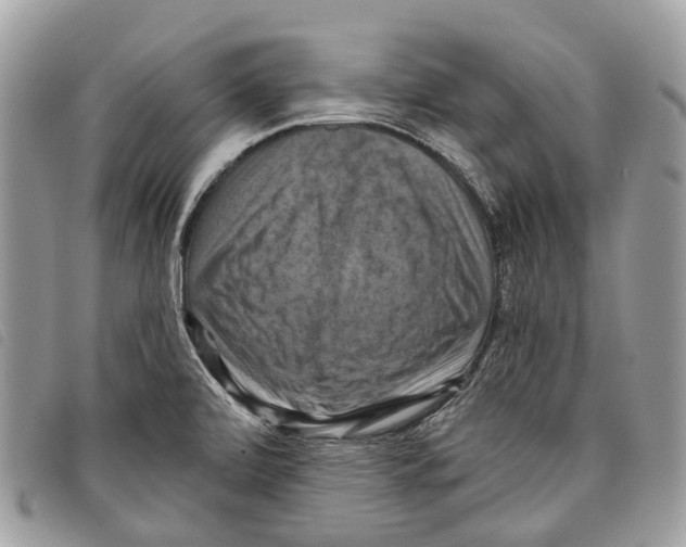 X0000097831472200804111027