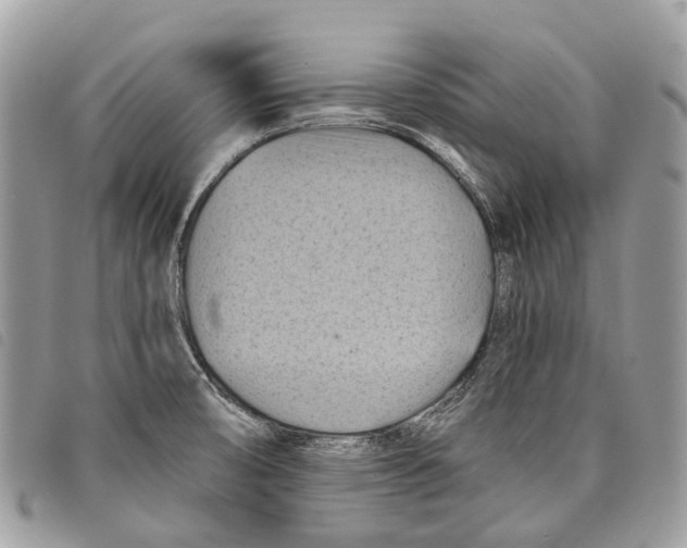 X0000097831474200804111027