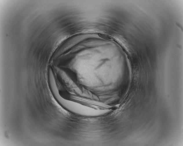 X0000097831476200804111027