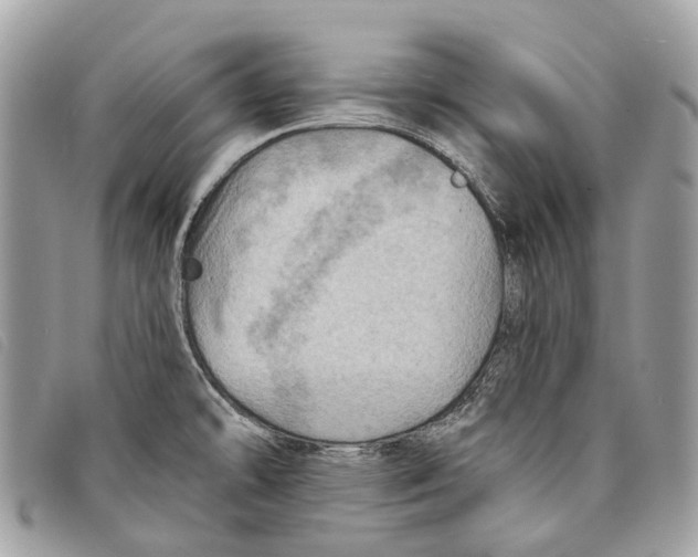 X0000097831478200804111027