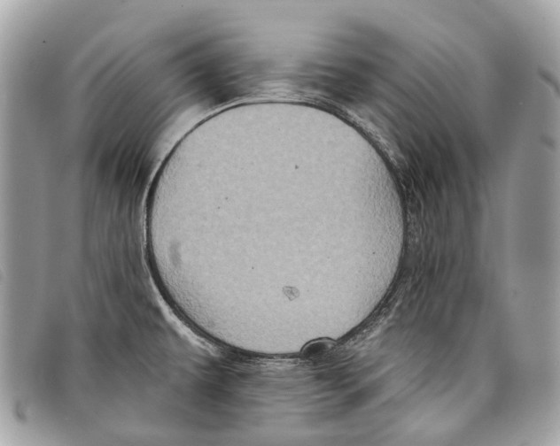 X0000097831479200804111027