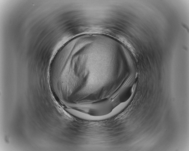 X0000097831480200804111027