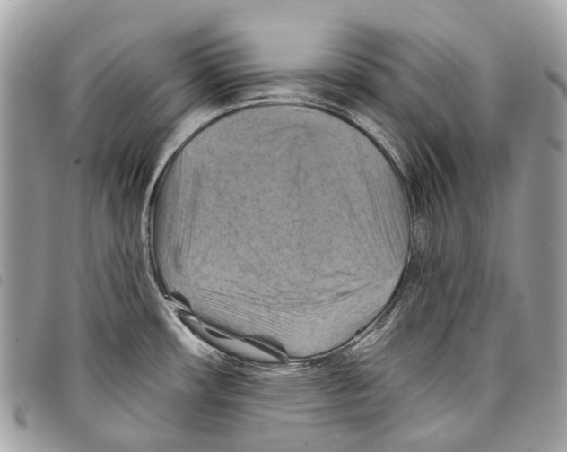 X0000097831482200804111027