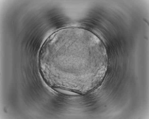 X0000097831483200804111027