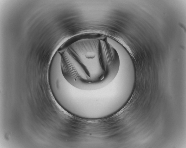 X0000097831484200804111027