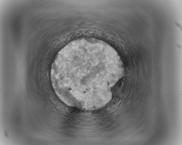 X0000097831489200804111026