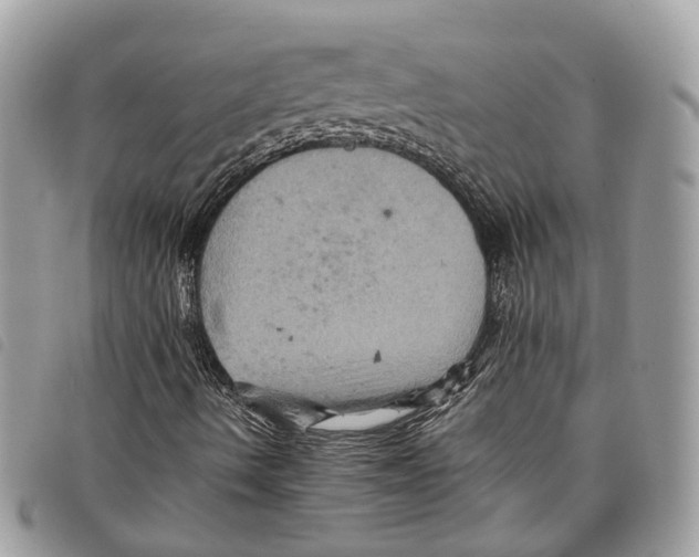 X0000097831490200804111026