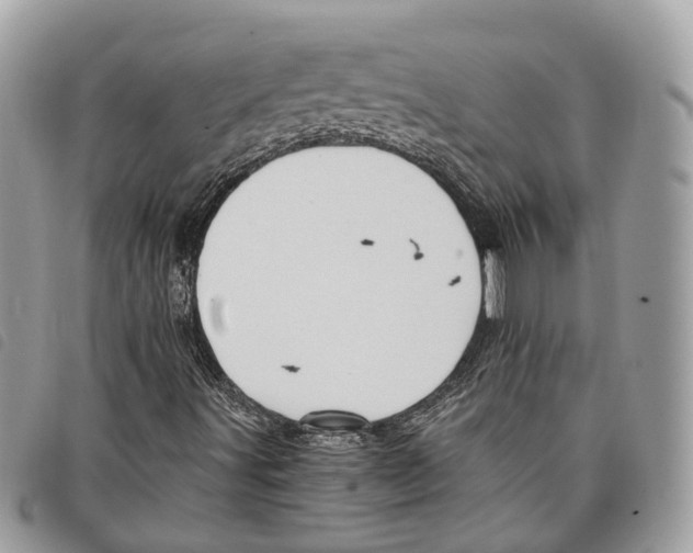 X0000097831491200804111026