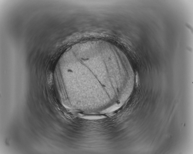 X0000097831492200804111026