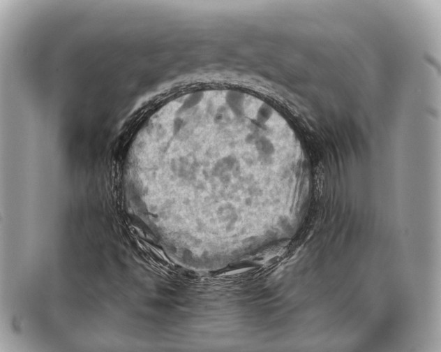 X0000097831494200804111026