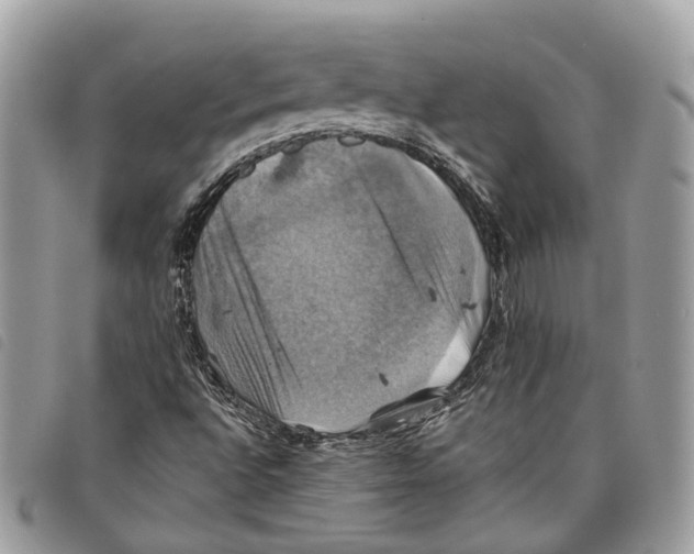 X0000097831496200804111026