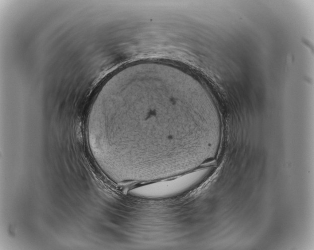 X0000097831497200804111026