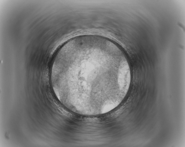 X0000097831498200804111026